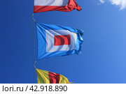 Развевающиеся флаги на День Военно-Морского Флота в Санкт-Петербурге (Первый дополнительный флаг) (2019 год). Стоковое фото, фотограф Мария Чистякова / Фотобанк Лори
