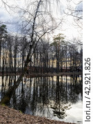 Весенний закат, отражение в воде (2024 год). Стоковое фото, фотограф Андрей Иванов / Фотобанк Лори