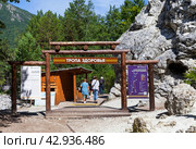 ARSHAN VILLAGE, TUNKINSKIY DISTRICT, BURYATIA, RUSSIA -  August 12, 2023: Tourists go for walk along the famous ecological Health Path in the Tunka Valley Nature Reserve on sunny summer day. Редакционное фото, фотограф Виктория Катьянова / Фотобанк Лори