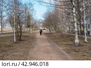 Пешеходная зона на улице Передовиков. Санкт-Петербург (2021 год). Стоковое фото, фотограф Александр Щепин / Фотобанк Лори
