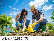 A young couple is hoeing the beds on a fine summer day. The concept of farming. Close-up. Стоковое AI-изображение, AI-художник Ярославский Максим / Фотобанк Лори