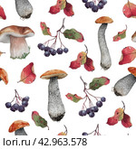 Watercolor seamless pattern with autumn forest nature, mushrooms and berries. Cottegecore style illustration design for fabrics, wallpapers, home textile, packaging design and other print. Акварельный бесшовный паттерн с осенней природой, грибами и ягодами. Стоковая иллюстрация, иллюстратор Карнаухова Елена / Фотобанк Лори