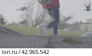 Голуби на бордюр, голуби полетели, пробежал человек  pigeons on the curb, pigeons flew, a man ran (2017 год). Стоковое видео, видеограф Опока Алексей / Фотобанк Лори