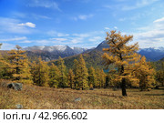 Осень в горном Алтае, Мультинские озера. Стоковое фото, фотограф Римма Тельнова / Фотобанк Лори