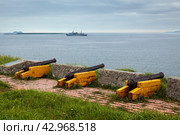 Пушки Командора на острове Беринга (2020 год). Стоковое фото, фотограф Дмитрий УТКИН / Фотобанк Лори