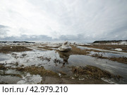 Огромные льдины на берегу. Весенний ледоход (2024 год). Стоковое фото, фотограф Яковлев Сергей / Фотобанк Лори