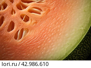 Refreshing Melon half closeup. Generate Ai. Стоковое AI-изображение, AI-художник Иван Рябоконь / Фотобанк Лори