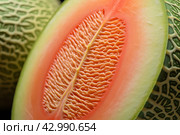 Sweet Melon half closeup. Generate Ai. Стоковое AI-изображение, AI-художник Иван Рябоконь / Фотобанк Лори