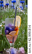 Sommar limonade on blue wild meadow cornflowers. Стоковое фото, фотограф Tamara Sushko / Фотобанк Лори