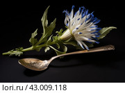 Tasty Spoonful soluble chicory. Generate ai. Стоковое AI-изображение, AI-художник Иван Рябоконь / Фотобанк Лори