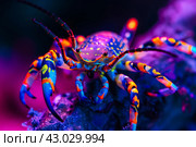 Intricate Arthropod antient neon image. Generate Ai. Стоковое AI-изображение, AI-художник Иван Рябоконь / Фотобанк Лори