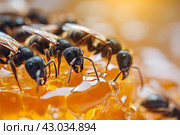 Nutritious Ants honey drop. Generate Ai. Стоковое AI-изображение, AI-художник Иван Рябоконь / Фотобанк Лори