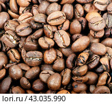 High quality coffee beans. Стоковое фото, фотограф Алиев Аслан / Фотобанк Лори