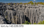 The incredible karst rocks of Madagascar. Sheer limestone cliffs with furrowed slopes and sharp peaks stretch to the horizon. Green vegetation. Clouds in the blue sky. Tsingy De Bemaraha (2023 год). Стоковое фото, фотограф Вера Ивановна Кубарева / Фотобанк Лори