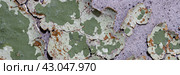 Peeling paint on the wall. Panorama of a concrete wall with old cracked flaking paint. Weathered rough painted surface with patterns of cracks and peeling. Panoramic texture for background and design. Стоковое фото, фотограф Андрей Степанов / Фотобанк Лори