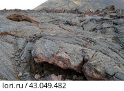 Камчатка.Толбачик. Застывшая лава после извержения 2012 года (2023 год) Редакционное фото, фотограф Staryh Luiba / Фотобанк Лори