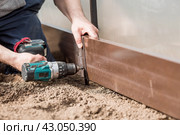 A man holds a battery-powered screwdriver and collects new beds from WPC into a greenhouse made of polyethylene, polycarbonate. Macro photography. Side view. Preparing for the spring garden season. Стоковое фото, фотограф Photojuli / Фотобанк Лори