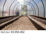 A new greenhouse made of polyethylene and polycarbonate with new beds made of Wood-polymer composite. Preparing for the spring garden season. Installation of a greenhouse in a suburban area. Стоковое фото, фотограф Photojuli / Фотобанк Лори