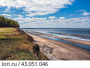 Обмелевшее побережье Обского водохранилища после сброса воды. Бердск. Новосибирская область. Западная Сибирь. Апрель. Стоковое фото, фотограф Евгений Мухортов / Фотобанк Лори
