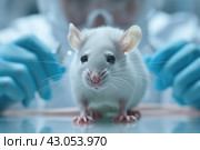 White laboratory rat close-up. The concept of scientific research. Стоковое AI-изображение, AI-художник Евгений Харитонов / Фотобанк Лори