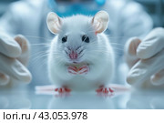 White laboratory mouse in the hands of a scientist, close-up. Стоковое AI-изображение, AI-художник Евгений Харитонов / Фотобанк Лори