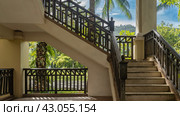 A concrete staircase with a latticed wooden railing rises to the floor. The background is a tropical park with lush green vegetation, blue sky with clouds. Malaysia. Borneo. Kota Kinabalu. Стоковое фото, фотограф Вера Ивановна Кубарева / Фотобанк Лори