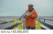 Harvesting the Cold Waters: An Angler Winter Prize at Fish Farm. Стоковое видео, видеограф Даниил Хабаров / Фотобанк Лори