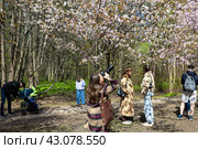 Молодая девушка фотограф в Сакуровой аллее (2024 год). Редакционное фото, фотограф Андрей Иванов / Фотобанк Лори