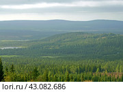 Finnish hills with endless coniferous forests in Lapland on summer evening. Стоковое фото, фотограф Валерия Попова / Фотобанк Лори