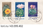 Почтовые марки ГДР 1974 года из серии Кактусы: Лобивия Хагена, Гимнокалициум Монвеля, Неопортерия Рапифера. Стоковая иллюстрация, иллюстратор александр афанасьев / Фотобанк Лори