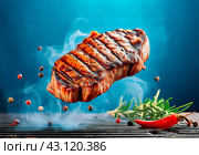 кусок жареного стейка и специи над грилем на синем фоне. Стоковое AI-изображение, AI-художник Данил Хусаинов / Фотобанк Лори