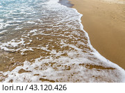 Морская волна, пенясь, набегает на мокрый песок.   Sea wave runs on wet sand. Natural background. Стоковое фото, фотограф Лариса Гордеева / Фотобанк Лори