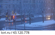 Машины и автобусы на улице Санкт-Петербурга (2023 год). Редакционное видео, видеограф Евгений Митрофанов / Фотобанк Лори