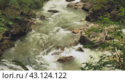 A mountain river flowing through a dense forest. A river with a swift flow. Stones scattered in the riverbed. The surrounding trees are lush and green. Slow motion. Стоковое видео, видеограф Воловодов Владимир / Фотобанк Лори