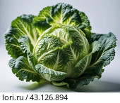 A detailed close-up of a fresh savoy cabbage shows the intricate patterns of its leaves, veined textures. Savoy cabbage Brassica oleracea L convar capitata var sabauda is vegetable crop. Generated AI. Стоковое AI-изображение, AI-художник Юлия Петровская / Фотобанк Лори