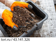 Ingredients for the soil of home potted plants, peat, earth, sand, perlite, vermiculite, coconut. A mixture for planting plants in a pot florist's gloved hands are mixing in a container. Стоковое фото, фотограф Ольга Симонова / Фотобанк Лори