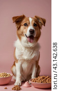 Dog food. Стоковое AI-изображение, AI-художник Виктория Дмитриевна Ощепкова / Фотобанк Лори