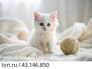 Pets. A small fluffy white kitten is playing with a ball of yarn on a white bed. A curious kitten lies on a white blanket and looks at the camera. Textiles, knitting. Стоковое AI-изображение, AI-художник Photojuli / Фотобанк Лори