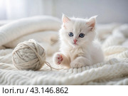 Pets. A small fluffy white kitten is playing with a ball of yarn on a white bed. A curious kitten lies on a white blanket and looks at the camera. Textiles, knitting. Стоковое AI-изображение, AI-художник Photojuli / Фотобанк Лори