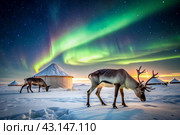 Reindeer graze against the background of a tundra landscape and a winter yurt. Snow is falling. Snowstorm. Стоковое AI-изображение, AI-художник Photojuli / Фотобанк Лори
