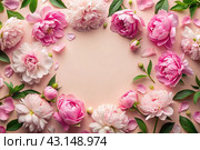 A frame with beautiful peony flowers on a pastel pink background. Flat layout, top view, place to copy, summer flowers. Стоковое AI-изображение, AI-художник Photojuli / Фотобанк Лори