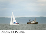 Морские суда в Амурском заливе у Владивостока (2022 год). Редакционное фото, фотограф Free Wind / Фотобанк Лори