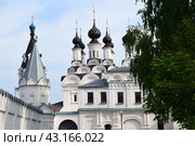 Благовещенский монастырь  в городе Муром 2018 год. Стоковое фото, фотограф Photolart / Фотобанк Лори