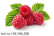 Raspberry berries with green leaves on a white background are isolated. Стоковое AI-изображение, AI-художник Ярославский Максим / Фотобанк Лори
