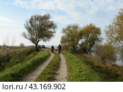 Дорога вдоль берега Куршского залива. Калининградская область (2022 год). Редакционное фото, фотограф Free Wind / Фотобанк Лори