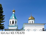 Храм Святого Прокопия Устюжского. Село Армизонское. Тюменская область (2024 год). Стоковое фото, фотограф Александр Тараканов / Фотобанк Лори
