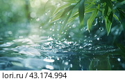 Капли дождя на листьях и воде. Стоковое AI-изображение, AI-художник Анна Добрыдень / Фотобанк Лори