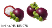Mangosteen fruit. Double set isolated on white background. Стоковое фото, фотограф Катерина Ковалева / Фотобанк Лори