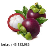 Mangosteen with green leaves composition isolated on white background. Стоковое фото, фотограф Катерина Ковалева / Фотобанк Лори