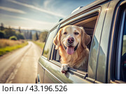 The concept of traveling with animals. A dog sticks its head out of the window of a car, a tourist van during a trip on a hot sunny day. Стоковое AI-изображение, AI-художник Photojuli / Фотобанк Лори
